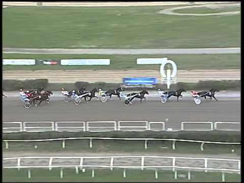 Trotto 16/11/2014 - 2° corsa