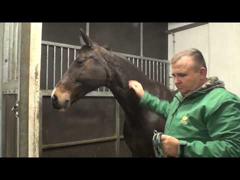 20240328 kk 306 adas