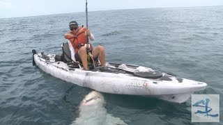 Shocking Shark Fishing Catch - Huge Bull Shark cau