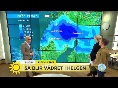 Meteorologen: "Se upp för snökanonerna!" - Nyhetsmorgon (TV4)