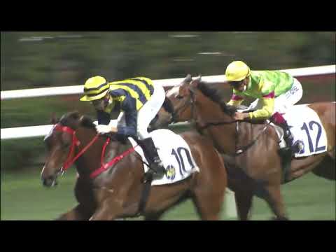 16/3/2022 (502) Diamond Star - J Moreira