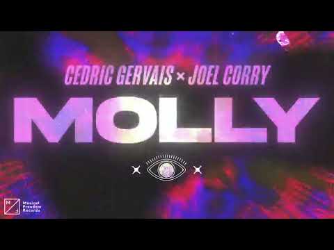 Cedric Gervais & Joel Corry - MOLLY (Official Audio)