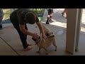 Pogi Meets Oso