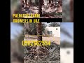 Date Palm Tree Dubai 971526277568