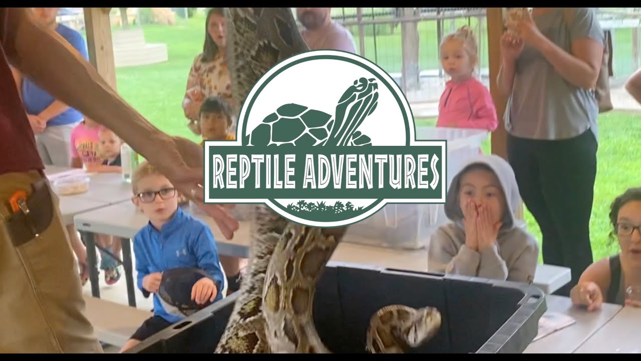 Promotional video thumbnail 1 for Reptile Adventures