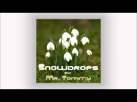Mr. Tommy - Snowdrops EP (teaser)