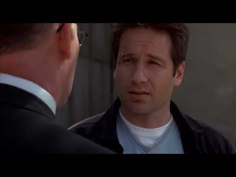 Skinner suspected Mulder was the father of Scully's baby. [X-Files — 8x20 Essence]