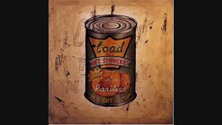 Toad the Wet Sprocket – &quot;So Alive&quot;