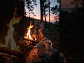 Brewing Memories Under A Forest Sky Shortfeed Shortsvideo