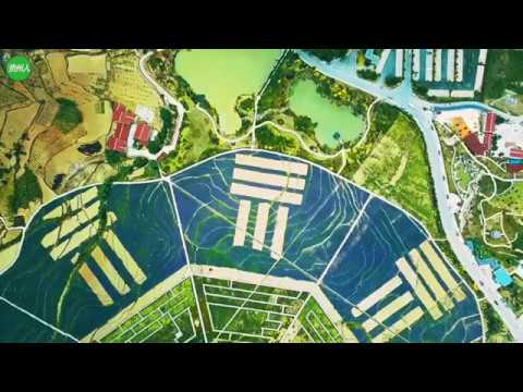貴州八卦園