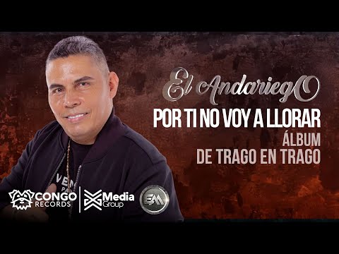 Por Ti No Voy A Llorar - El Andariego  (Audio Oficial)