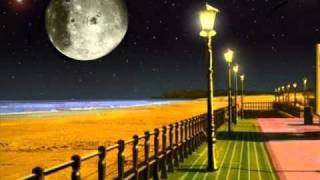 Midlake - In This Camp