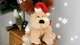 Merry christmas to you all! Christmass dog shout song!