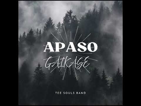 APASO GAIKASE - TEE SOULS BAND