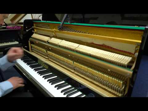 Calisia Upright Piano in Glossy Black