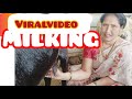 Viralvideo Milking