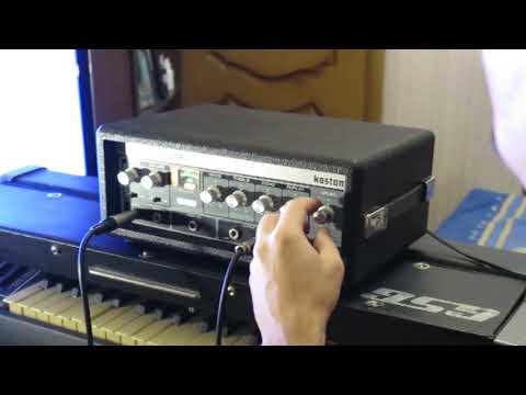Kastam echo chamber ss-102. Vintage tape delay. My home Kastam echo chamber ss-102. Vintage tape delay. My home