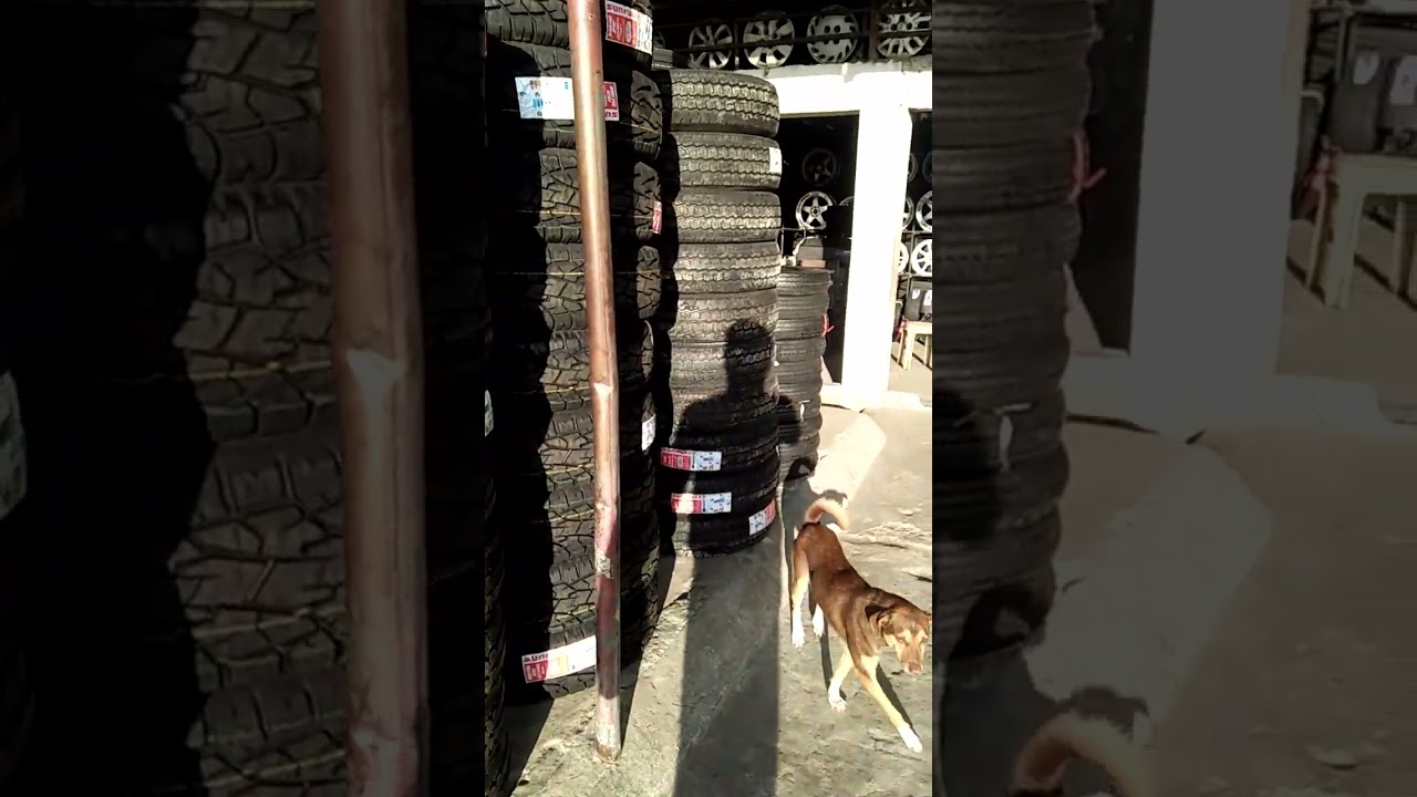 sunfull tires available#queenltiresupply&alignmentcenter