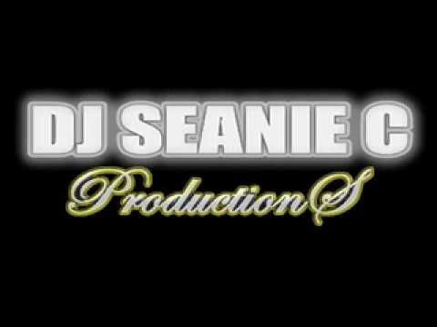 DJ SEANIE C PRESENTZ 4X4 VOL 2