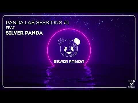 Panda Lab Sessions #1 - Silver Panda