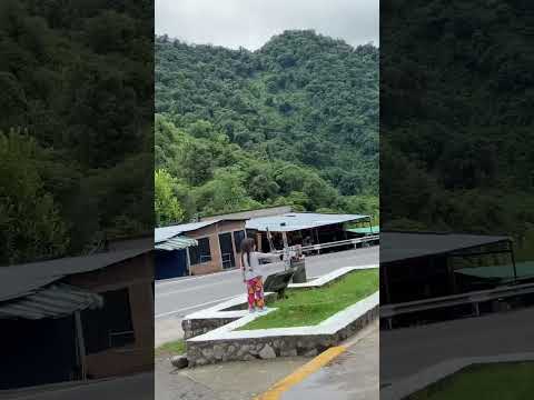 Los Sosa,Tucumán #travel #feedshorts #nature #roadtrip #turismo