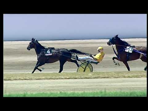 Napoli Trotto 03/06/2021 - 2ª corsa