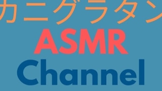 スマホ映るかテスト