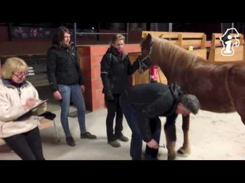 FIZO Kronshof - Messen 21.04.2013 - isibless