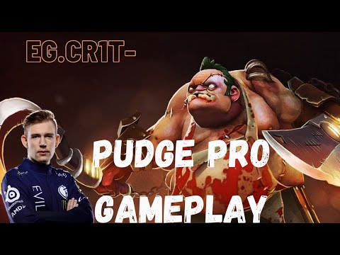 Cr1t- Support Pudge | EG vs The Cut Game 2 - Dota 2 Pro POV [7.29]