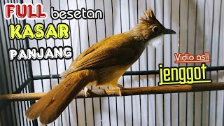 Download lagu FULL BESETAN KASAR PANJANG || cucak jenggot istimewa mp3