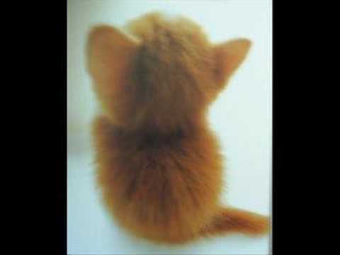 CRONIK 664 Madre  Solo  Hay  Una