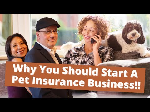 Why You Should Start A Pet Insurance Business