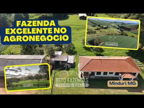 Fazenda à Venda 153 Hectares Excelete Aptidão para Café e Citricultura | Mindurim/MG