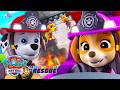 LIVE PAW Patrol To The Rescue Non Stop FULL Episodes