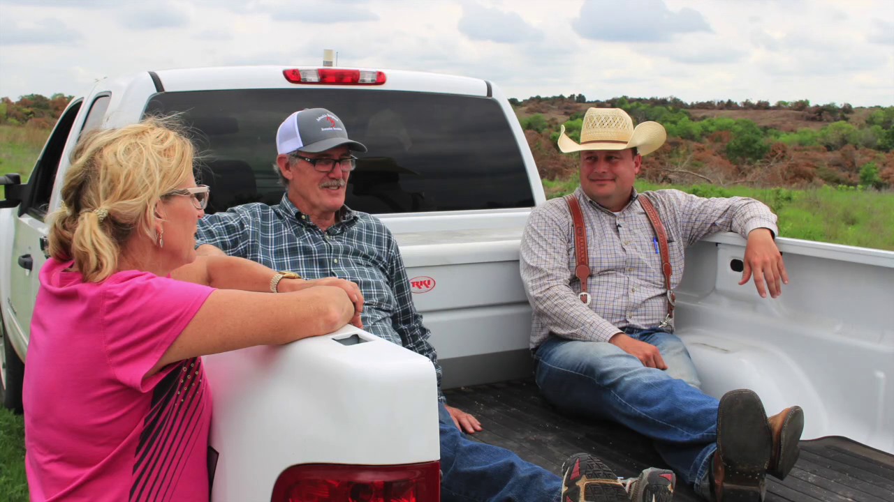 Bringing Back the Prairie