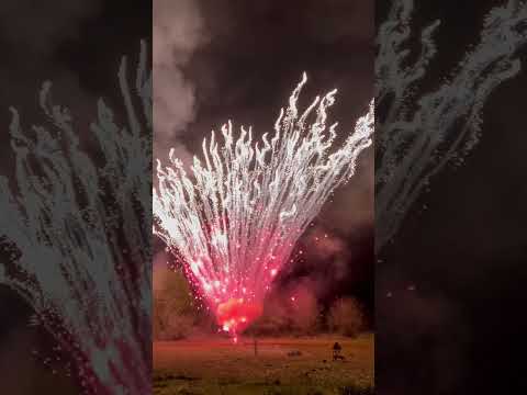 Instant 100 shot Shockwave fireworks cake