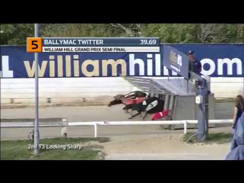 2018 WILLIAM HILL GRAND PRIX - 1ST SEMI - T5 BALLYMAC TWITTER