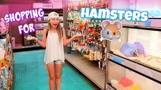 Getting 3 Hamsters! Shopping at Petco and PetSmart for Hamster Gear!