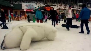 Приколы. Медведь нападает на туристов. Буковель