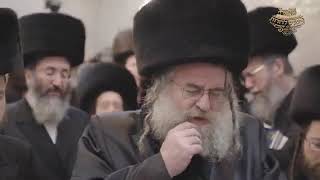 מעמד נורא בציון הרה"ק רבי אלימלך מליז'נעסק - רבי דניאל אלתר לחטופים אין אפילו כרית להרטיב בדמעותיהם