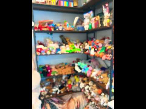 Largest collection of Beanie Babies!