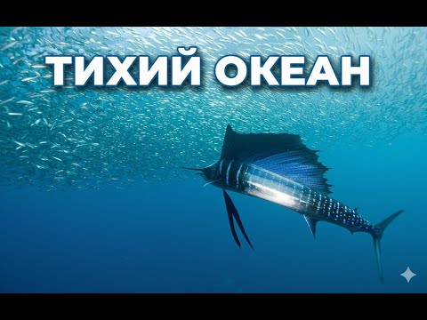 👨‍👨‍👧‍👧МНОГООБРАЗИЕ ЖИЗНИ В ПОДВОДНЫХ ГЛУБИНАХ! Тихий океан. Семейный канал.