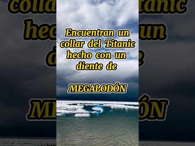 Vídeo relacionado con CWZZWS 2 Piezas Collar con Colgante de Dinosaurio Cadena de Cuello de Dinosaurio Negro
