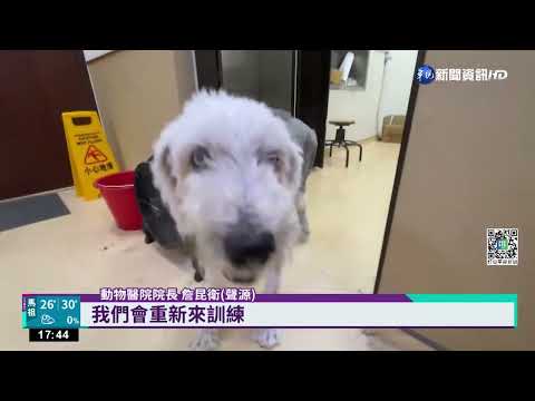 "獸醫"徵才僅開25K? 院長澄清:是徵助理