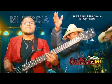 MI OZADIA INTERNACIONAL CONCIERTO EN VIVO  PATAQUEÑA-LIVITACA 2019