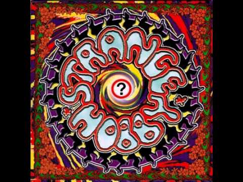 Strange Hobby - Arnold Layne (Arjen Lucassen from Ayreon - Pink Floyd cover)