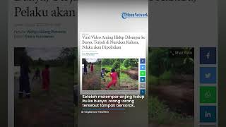 Viral Video Anjing Hidup Dilempar ke Buaya, Pelaku Sampai Kegirangan