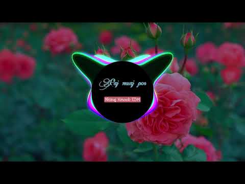 Paj Muaj Pos Remix - Nkauj Lig Hawj || Nkauj Hmoob EDM