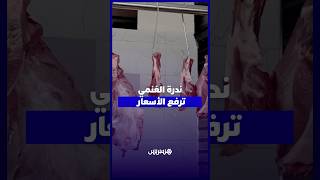 أسعار الغنمي تتجاوز 160 درهماً والجزارة يلوحون بالإغلاق thumbnail