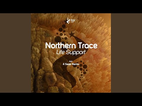 Life Support (Original Mix)